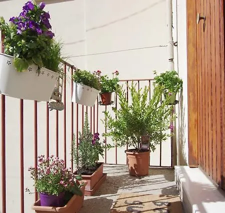 Apartment Testaccio Style